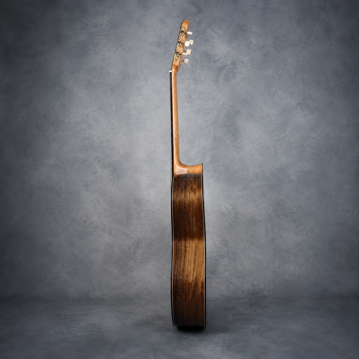 Guitar No. 3 — side profile